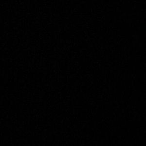 Meet your Posher, Jaden